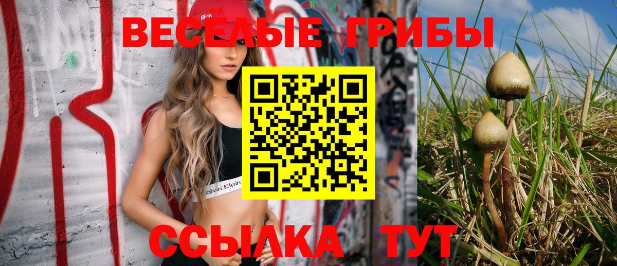 Псилоцибиновые грибы мухоморы Трёхгорный