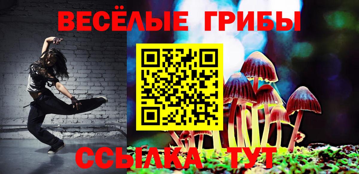 Галлюциногенные грибы Psilocybine cubensis  Вход с VPN  Трёхгорный 